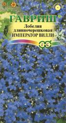 Лобелия Император Вилли (Гавриш)