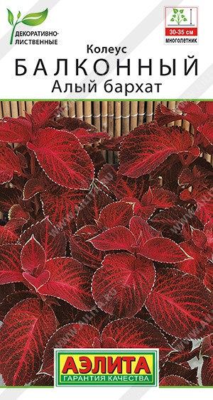 Семена Колеус балконный Алый бархат (Аэлита)