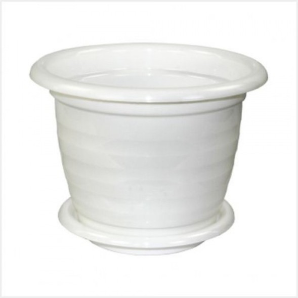  Виола с поддоном 2 л (белый)