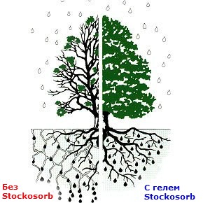  Гидрогель Stockosorb 660 medium - 100 грамм