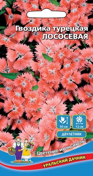 Семена Гвоздика турецкая Лососевая УД
