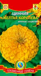 Цинния Жёлтая королева ПЛ