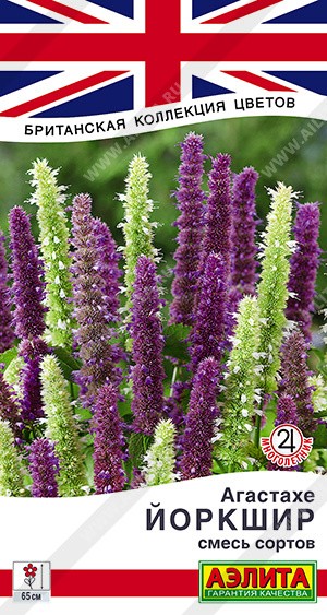 Семена Агастахе Йоркшир, смесь сортов (Аэлита)
