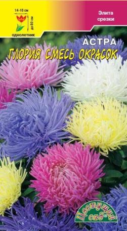 Семена Астра Глория хризантемовидная смесь ЦС