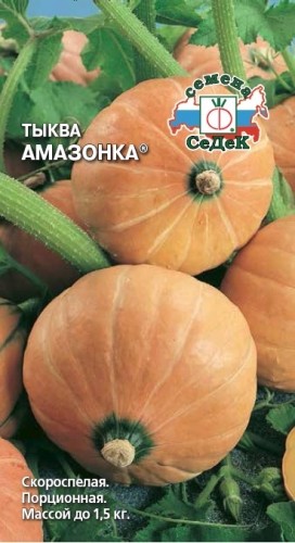 Семена Тыква Амазонка (СеДеК)