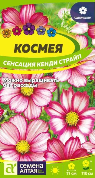 Семена Космея Сенсация Кенди Страйп (Семена Алтая)