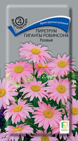 Семена Пиретрум Гиганты Робинсона розовый (Поиск)