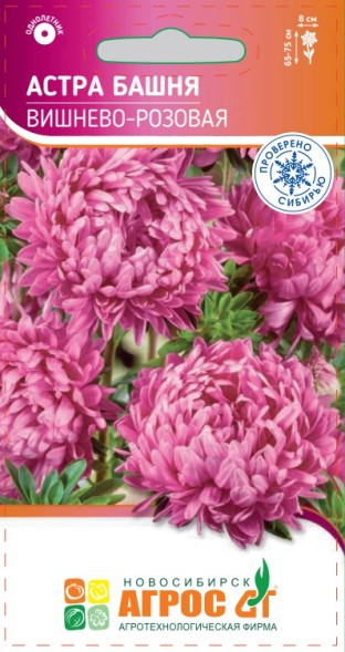 Семена Астра Башня Вишнево-розовая пионовидная 0,3г Одн 65-75см (Агрос)