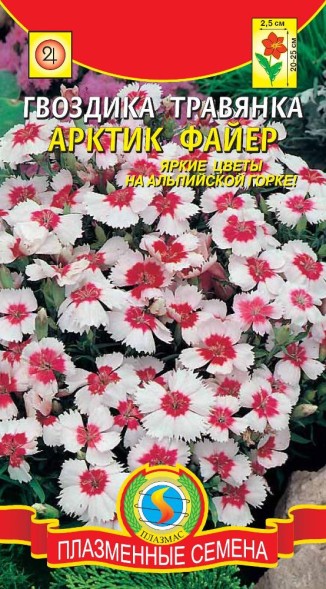 Семена Гвоздика травянка Арктик Файер ПЛ