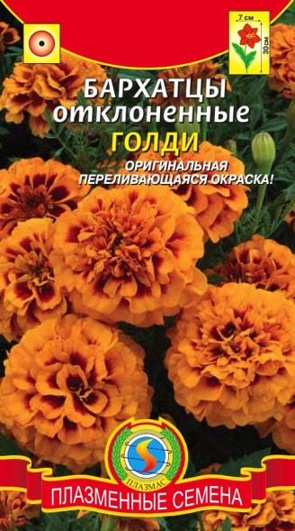 Семена Бархатцы отклоненные Голди ПЛ