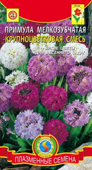 Семена Примула мелкозубчатая смесь ПЛ