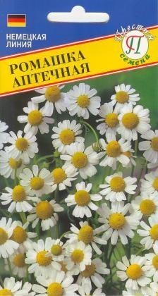 Семена Ромашка Аптечная (Престиж)