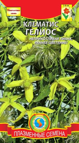 Семена Клематис Гелиос ПЛ