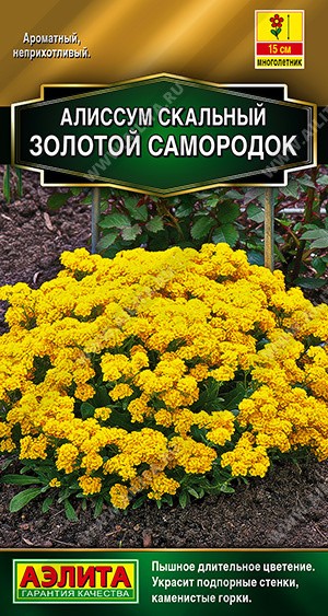 Семена Алиссум Золотой самородок (Аэлита)