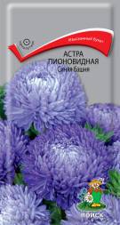Астра Башня Синяя пион махровый (Поиск)
