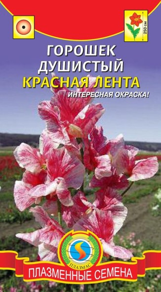 Семена Горошек душистый Красная лента ПЛ