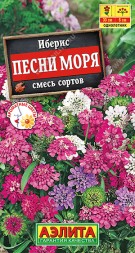 Иберис Песни моря смесь (Аэлита)