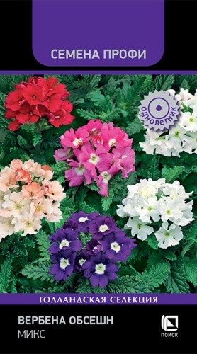 Семена Вербена Обсешн Микс смесь (Поиск)