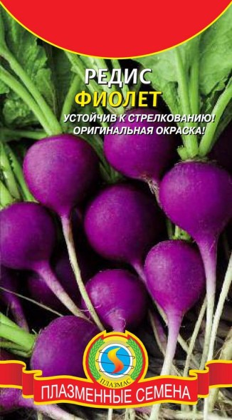 Семена Редис Фиолет ПЛ