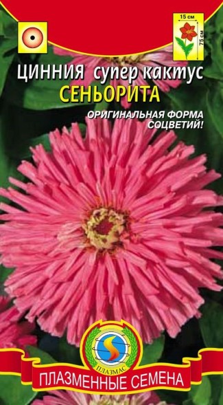 Семена Цинния супер-кактус Сеньорита ПЛ