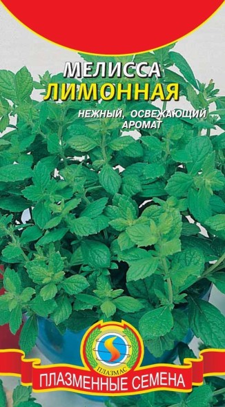Семена Мелисса лимонная ПЛ