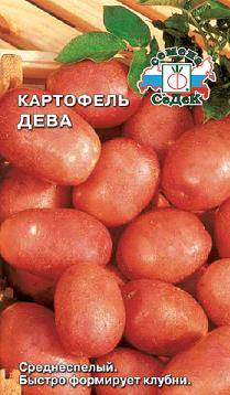 Картофель Дева (СеДеК)