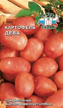 Семена Картофель Дева (СеДеК)