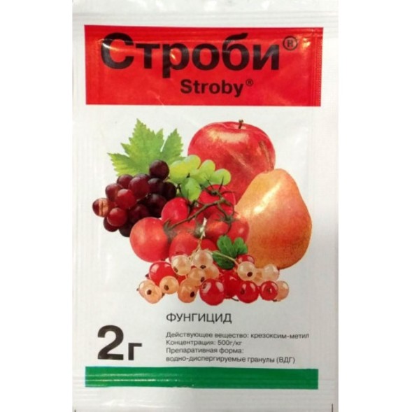  Строби 2 г
