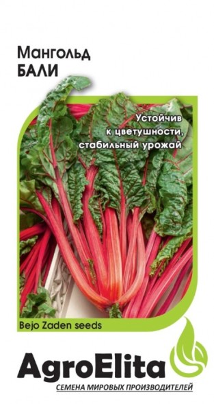 Семена Мангольд Бали (АгроЭлита)