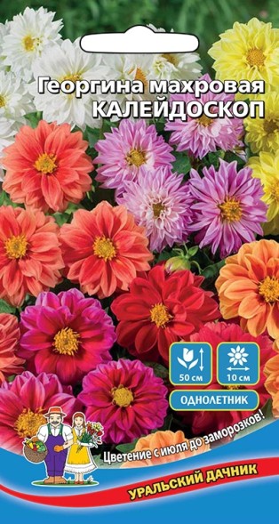 Семена Георгина махровая Калейдоскоп УД