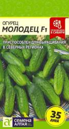 Огурец Молодец F1 (Семена Алтая)