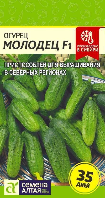 огурец малец-удалец f1 7шт. огурцы агросемтомс. сорт огурцов дамский угодник. огурец шустрец-молодец f1, 12шт (п). огурец молодец f1 8шт.