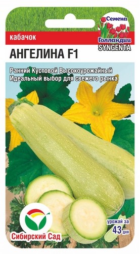 Семена Кабачок Ангелина F1 (Сиб сад)