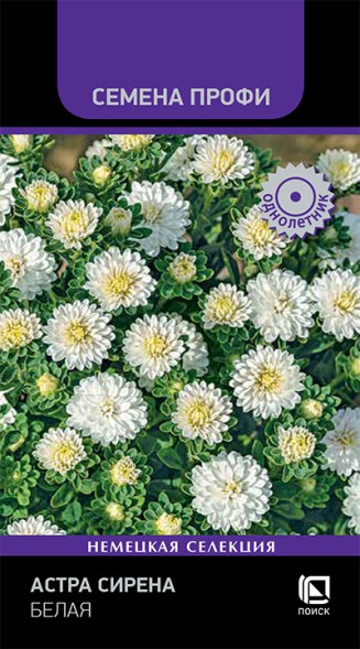 Семена Астра Сирена Белая махровая (Поиск)