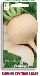 Редька Зимняя круглая белая (Поиск)