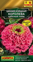 Цинния Королева красный лайм (Аэлита)