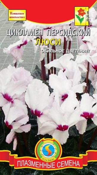 Семена Цикламен песидский &amp;quot;Люси&amp;quot; ПЛ