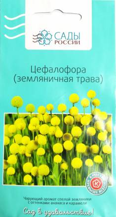 Цефалофора (земляничная трава) (Сады России)