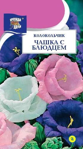 Семена Колокольчик Чашка с блюдцем УУД