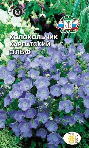Семена Колокольчик карпатский Эльф (СеДеК)