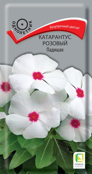 Семена Катарантус Падишах розовый (Поиск)
