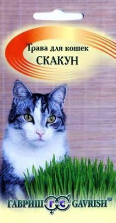 Трава для кошек Скакун (Гавриш)