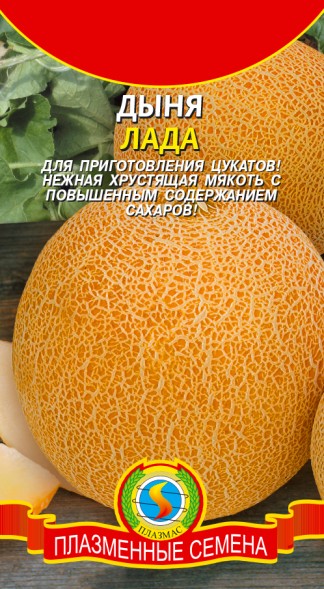 Семена Дыня Лада ПЛ