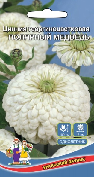Семена Цинния Полярный Медведь георгиноцветковая УД