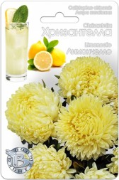 Астра Хризантелла Лимончелло (Биотехника)