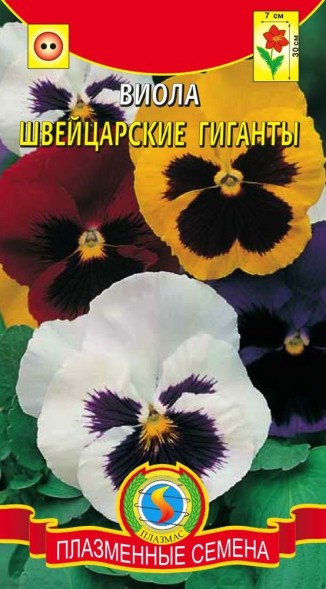 Семена Виола Швейцарские гиганты ПЛ