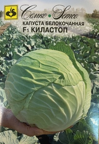 Семена Капуста белокочанная Киластоп F1 (Семко)