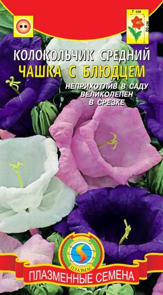 Семена Колокольчик средний Чашка с блюдцем ПЛ