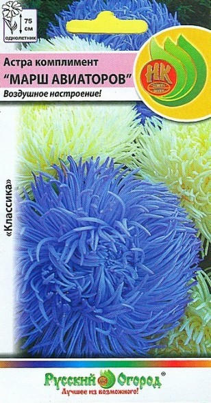 Семена Астра Марш Авиаторов (НК)