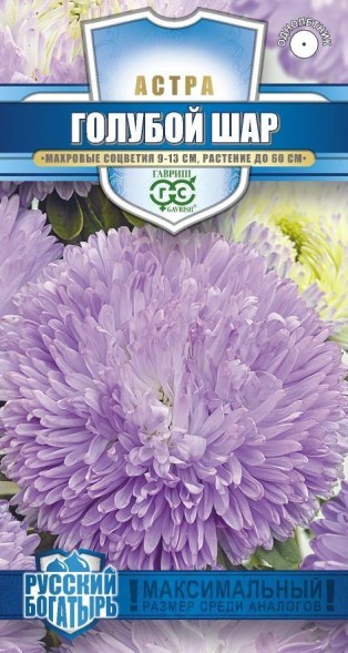 Семена Астра Голубой шар (Гавриш)